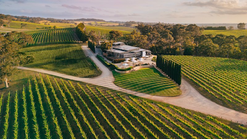 Vestey family puts ‘tariff-resistant’ winery on sale with $20m hopes