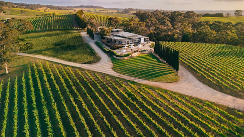 Too many grapes, not enough drinking lead to glut of wineries for sale