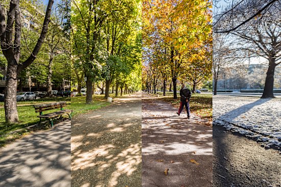 “A longing for four seasons is something you hear in California from East Coast transplants, and it makes no sense to me.”      