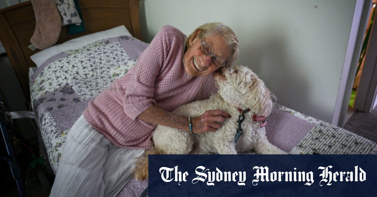 Outdated people’s residence for … puppies? The aged treatment centre wherever animals are a best fit