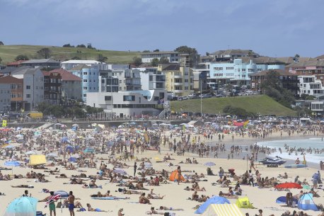 Summer in Sydney means ... North Bondi, prawns, clichés and lots of them