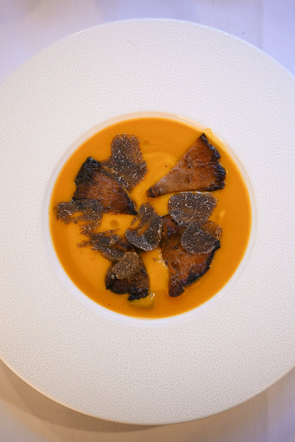 The pumpkin soup.