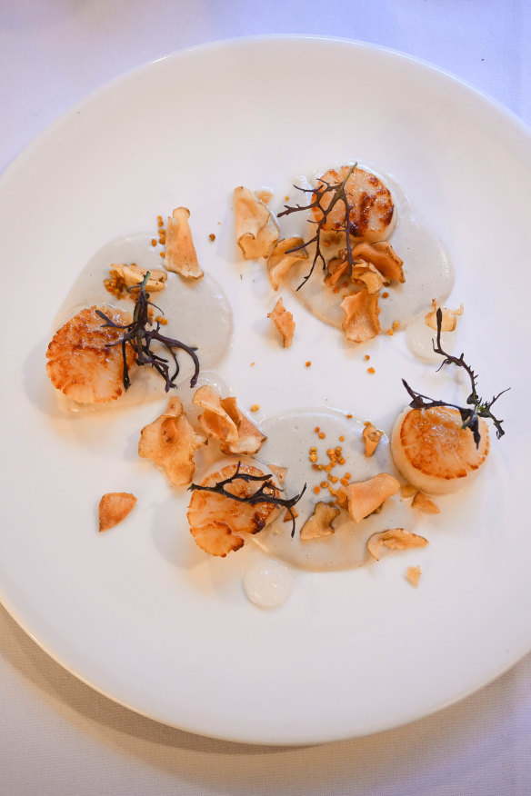 Scallops with Jerusalem artichoke.