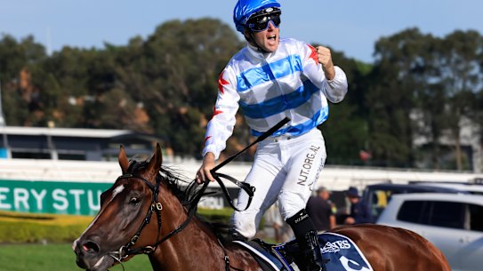 Tommy Berry stands tall in the irons after Stay Inside’s dominant win in the Golden Slipper.