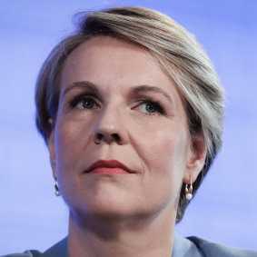 Tanya Plibersek says proselytising in schools would be a serious breach of the chaplaincy program rules.