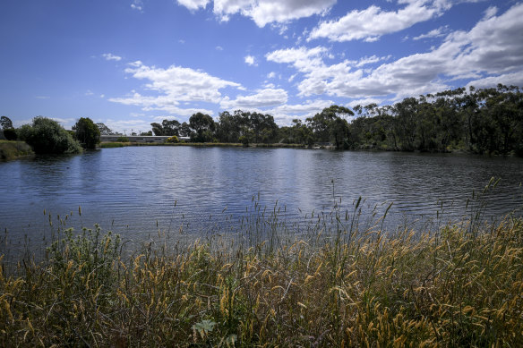 Lake Knox and its surrounding vegetation plays host to a variety of fauna.