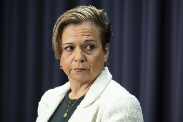 Michelle Rowland called on Optus to “step up” its response to millions of disconnected customers.