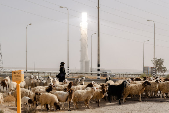 A Bedouin woman herds sheep near a solar tower which generates enough electricity to power tens of thousands of homes, in Ashalim, Israel.
