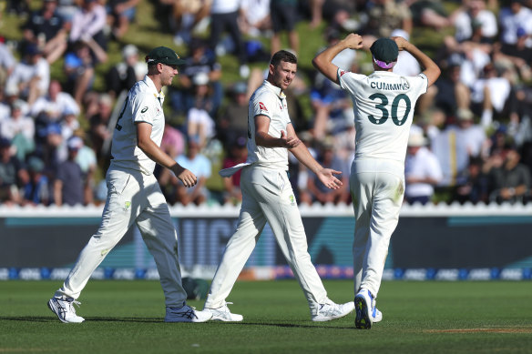 Josh Hazlewood celebrates with Pat Cummins after taking the wicket of Glenn Phillips