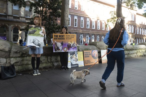 Activists hold a monthly vigil out the front of RPA hospital opposing forms of animal research including xenotransplantation.