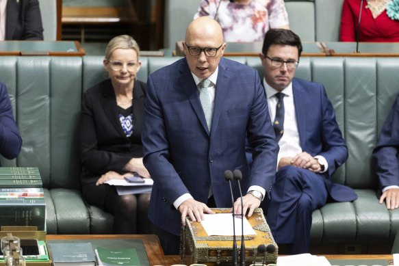 Opposition Leader Peter Dutton speaking in parliament today.