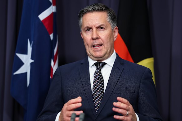 Health minister Mark Butler described the telehealth change as a first step towards delivering a national drugs database.