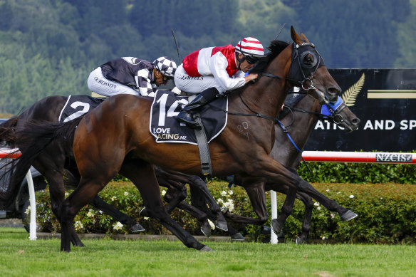 Ladies Man in action in New Zealand earlier this year.