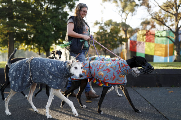 A woman walks her greyhounds in Carlton on Sunday morning, the coldest day of the year so far.