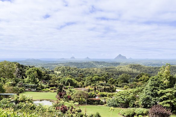 Maleny’s lush Botanic Gardens.