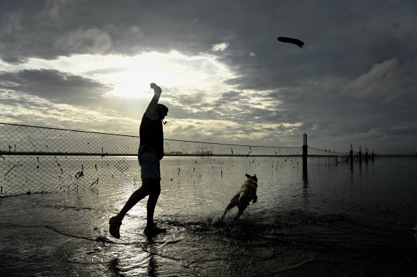 Leptospirosis can lurk in creeks and puddles and pools of stagnant water.