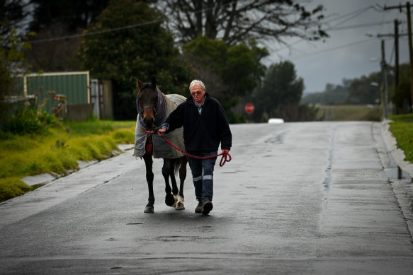 Horse trainer Ian Stewart at his stables on George Street in Kilmore where developers are buying up land.