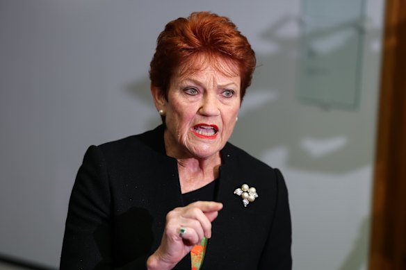 One Nation leader Pauline Hanson took swipes at the Canberra press pack on Wednesday.