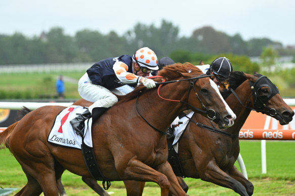 Just Folk charges home to win the Eclipse Stakes at Caulfield in December.