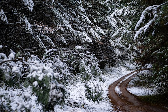 Snowy conditions in Black Springs in the NSW Central West today.
