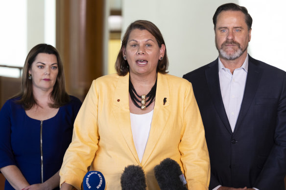 Sarah Hanson-Young, Dorinda Cox and Peter Whish-Wilson during a press conference at Parliament House.