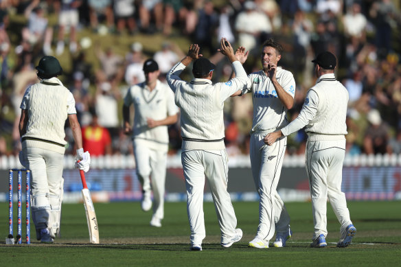Tim Southee celebrates after taking the wicket of Marnus Labuschagne. 