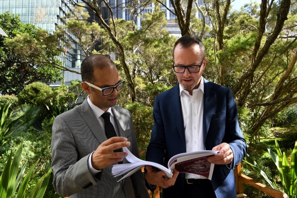 Opposition Treasury spokesman Daniel Mookhey and Greens MP David Shoebridge.