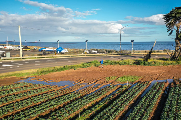 John Forrester stands at Werribee South market farms that will be threatened by sea-level rises.