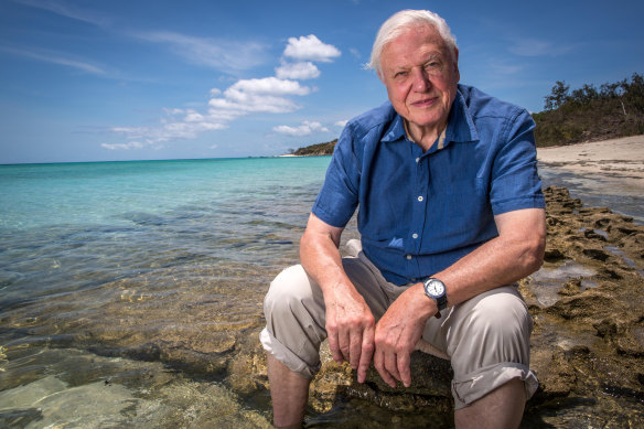 Sir David Attenborough sent a BBC crew to Flinders a few years ago to film the weedy sea dragon.