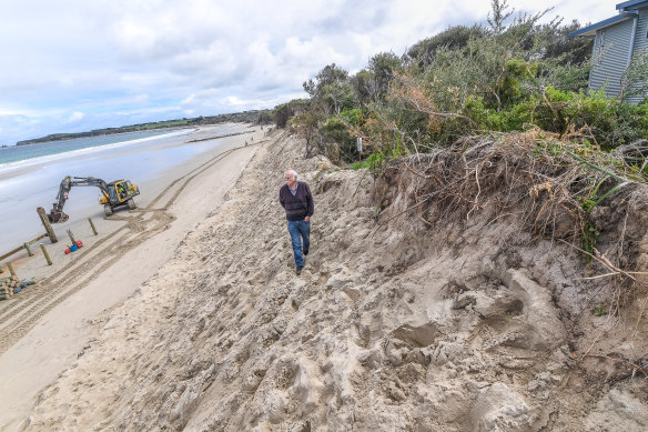 Dave Sutton inspects the foreshore at Inverloch, where remediation attempts have failed to prevent accelerating erosion.