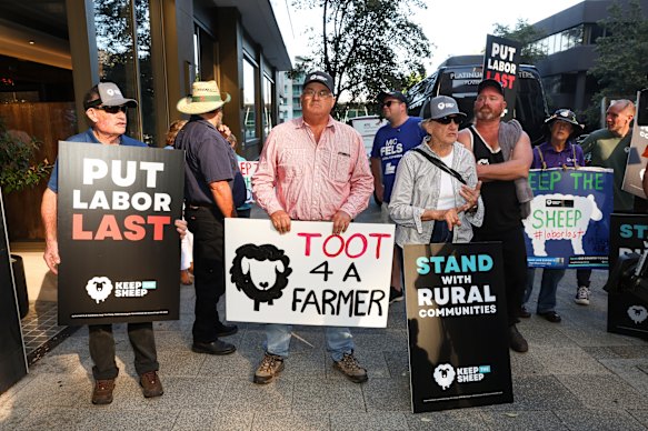 Protesters from Keep the Sheep seen near the Perth Convention and Exhibition Centre ahead of Labor’s federal election campaign launch in April.