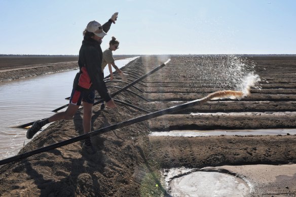 Joseph Williams (left) and Angel Gale "throw the pipes" to siphon water into irrigation channels.