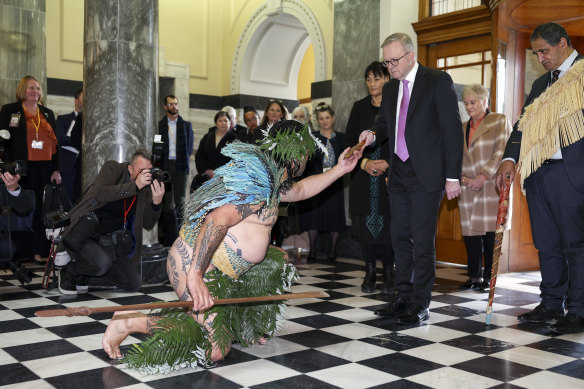 Prime Minister Anthony Albanese was presented with a Rakau Tapu (sacred weapon) during a welcome ceremony in New Zealand parliament today. 