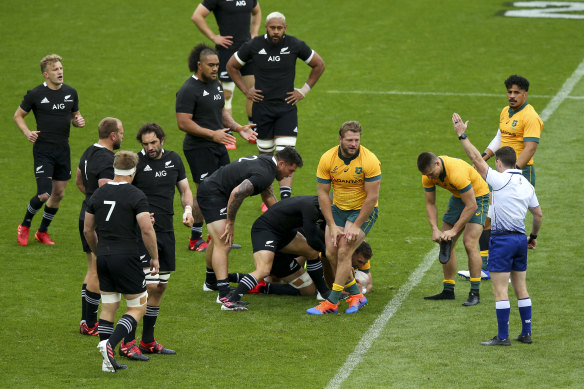 Referee Paul Williams awards a penalty in Wellington.