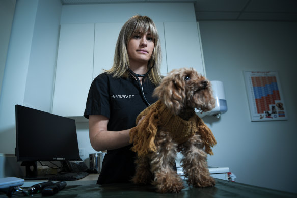 Vet Abby Main loves making a difference in the lives of animals and the people they live with, but says there are many ways in which the wellbeing of vets should be better supported.