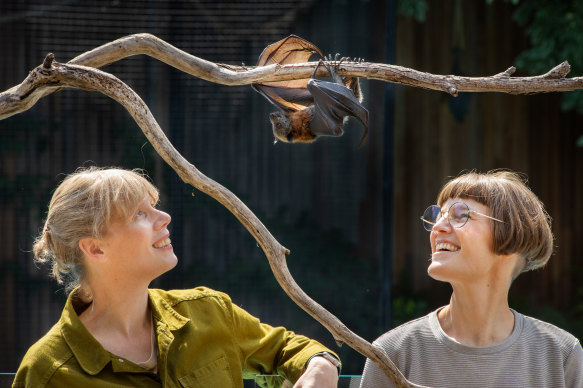 Gracia Haby (left) and Louise Jennison with rescued bat Esme. 