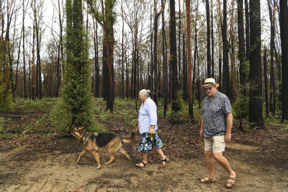 Daintry and Ian Gerrand are focusing on "renewal" as the land around their Johns River property heals after November's bushfire.