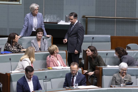 Health Minister Mark Butler talking to the crossbench this morning. 