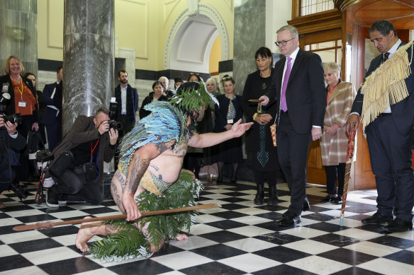 Anthony Albanese is presented with a Rakau Tapu, a sacred weapon, during a Ceremony of Welcome at New Zealand’s parliament in Wellington.