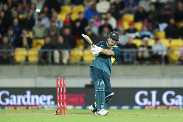 David Warner batting during a Twenty20 match in New Zealand in February.