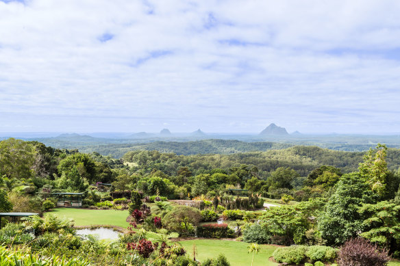 Views of the Glass House Mountains at Maleny Botanic Gardens.