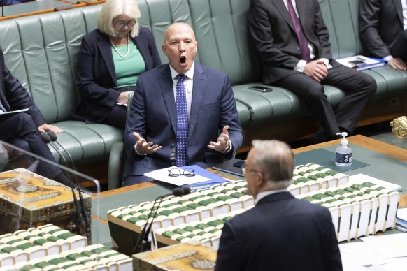 Opposition leader Peter Dutton in Question Time earlier this month. 