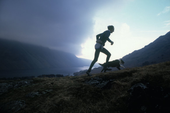 Farmer and fell runner Joss Naylor running up Wasdale with courage determination in the Lake District Cumbria.