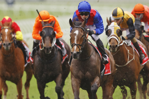 Zaaki (blue and red silks) wins at Royal Randwick with James McDonald onboard earlier this month.