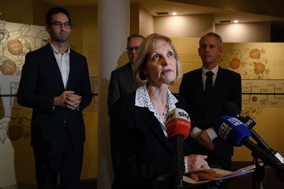 New special envoy Jillian Segal on Tuesday with (from left) Jewish Labor MP Josh Burns, Prime Minister Anthony Albanese and Immigration Minister Andrew Giles.