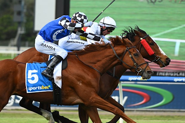 Sportsbet’s shrunken quarter overshadowed by Flutter upgrade