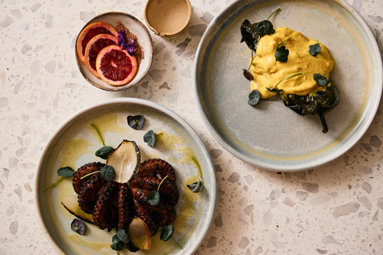 Pulpo escondido (grilled octopus on chintextle paste with huitlacoche and tostada) with chile relleno (poblano chilli stuffed with shiitake picadillo over mole verde).