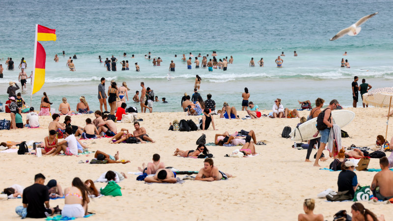 Why New Zealanders are migrating to Australia in record numbers