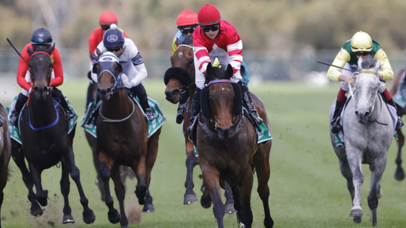 Three contenders for Price pair at Moruya meeting