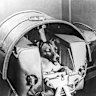 Canine cosmonaut Laika rests comfortably inside the Soviet satellite Sputnik 2 before being blasted into orbit in 1957.
